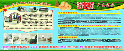 金豐食品圖片 解析食品經(jīng)營(yíng)中的視覺(jué)營(yíng)銷(xiāo)與合規(guī)管理